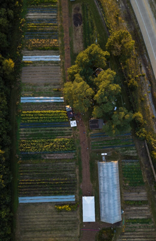 Indy Urban Acres