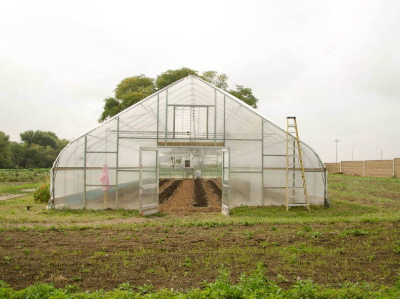 What a Second Greenhouse Means for IUA